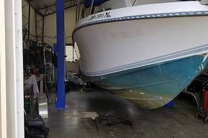 Chris Craft seahawk 254