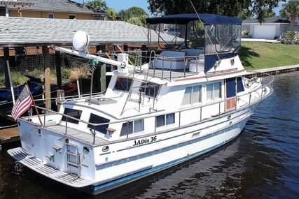 Albin 36 Trawler