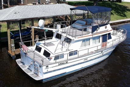 Albin 36 Trawler