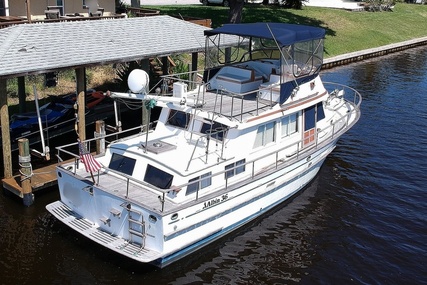 Albin 36 Trawler