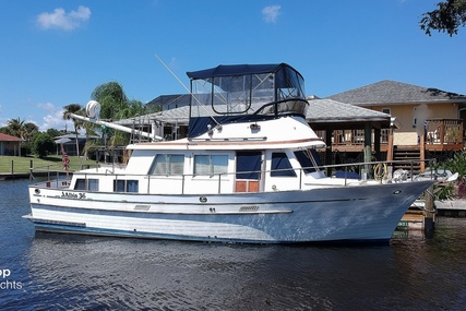 Albin 36 Trawler