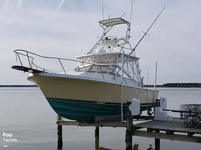 Blackfin 29 Combi