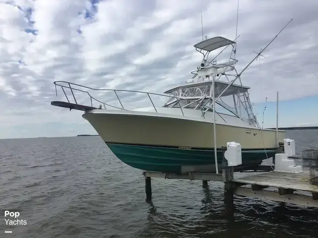 Blackfin 29 Combi