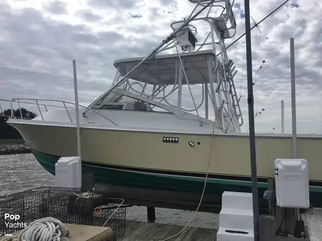 Blackfin 29 Combi