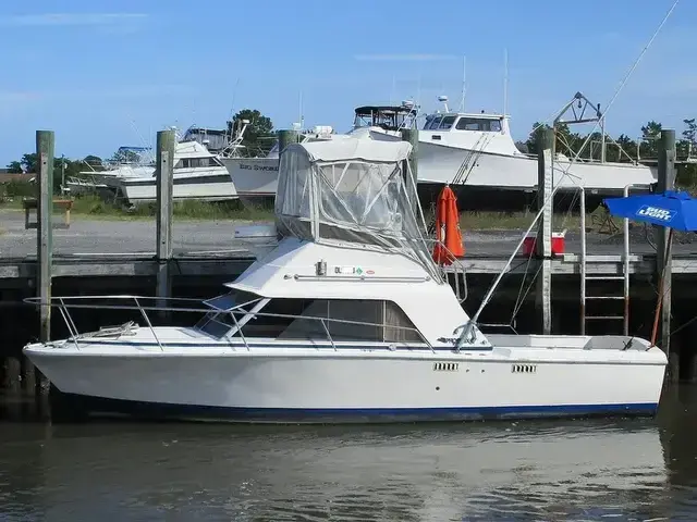 Phoenix 29 Convertible