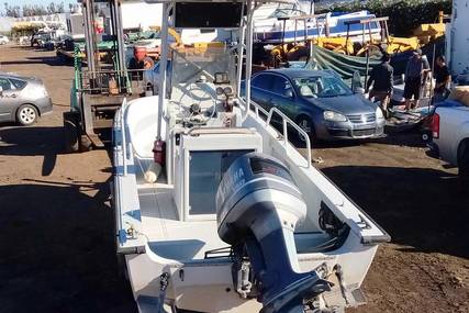 Boston Whaler 19 Guardian