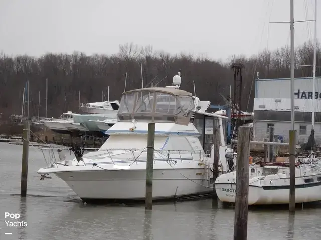 Sea Ray 440 Aft Cabin