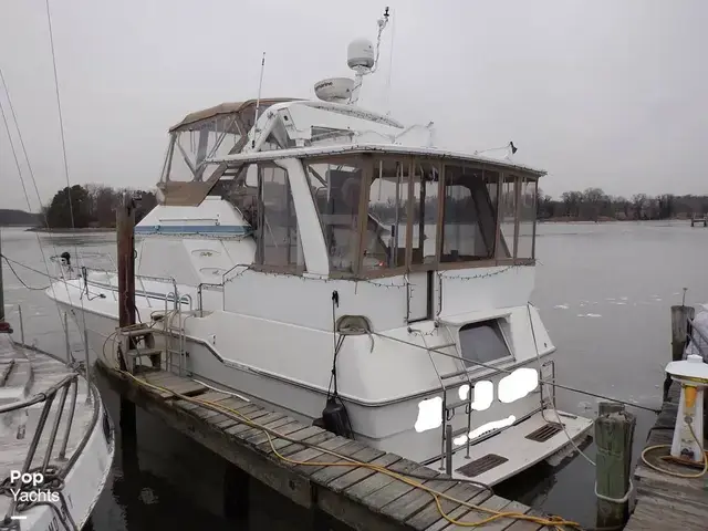 Sea Ray 440 Aft Cabin