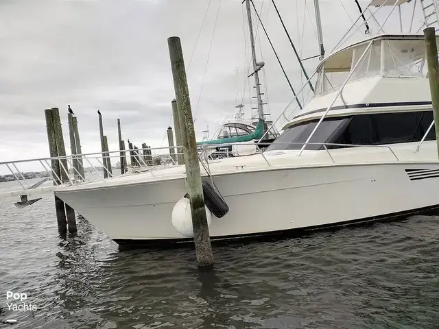 Viking Yachts 53 Convertible