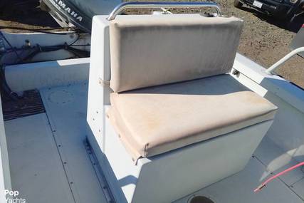 Boston Whaler 19 Guardian