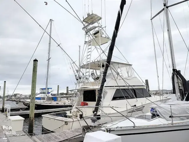 Viking Yachts 53 Convertible