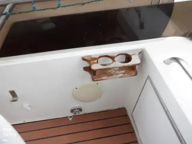 Sea Ray 440 Aft Cabin