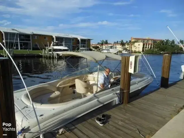 Sea Ray 260 Signature