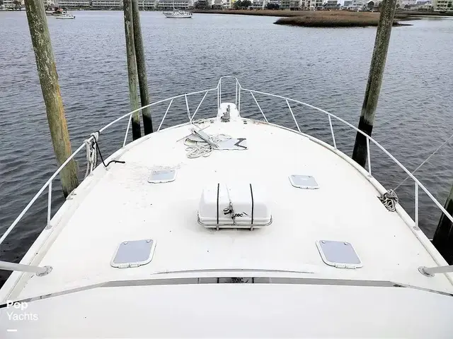 Viking Yachts 53 Convertible