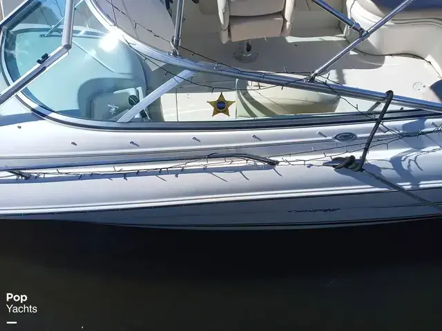 Sea Ray 260 Signature