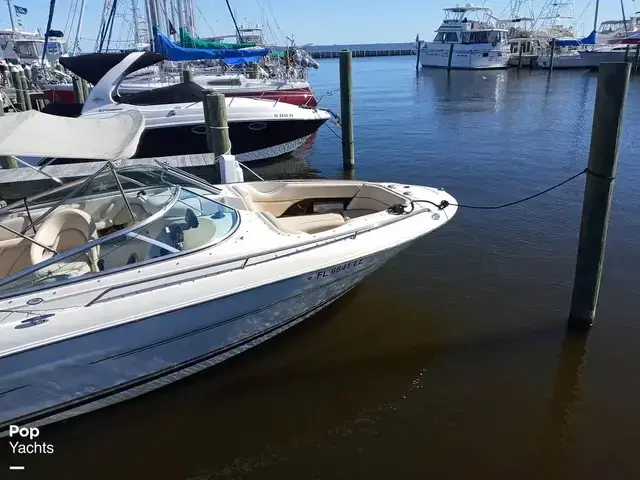 Sea Ray 260 Signature