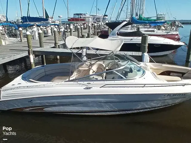 Sea Ray 260 Signature