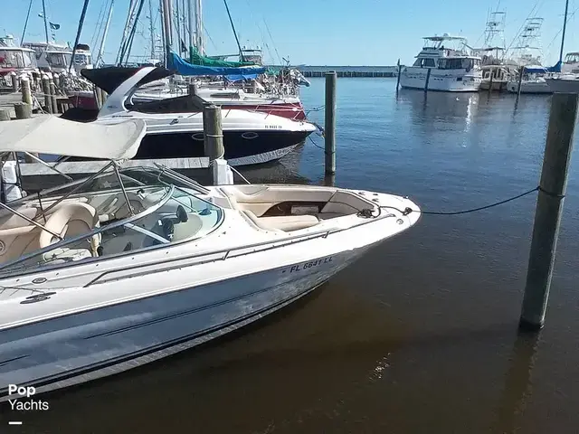 Sea Ray 260 Signature