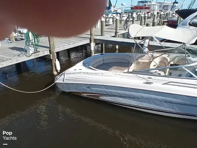 Sea Ray 260 Signature