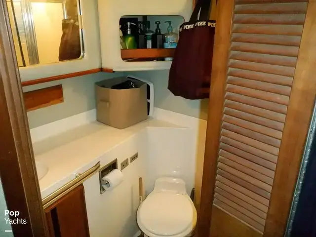 Sea Ray 440 Aft Cabin