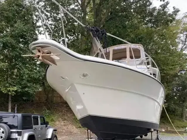 Sea Ray 440 Aft Cabin