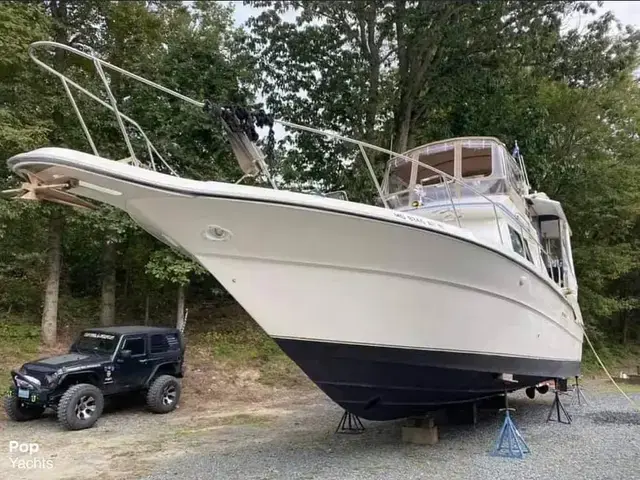 Sea Ray 440 Aft Cabin