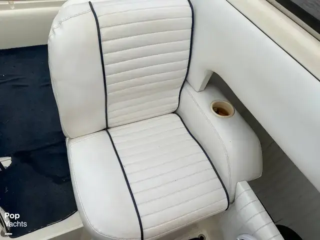 Sunseeker Hawk 31