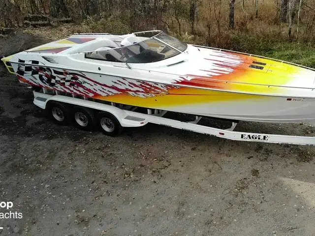 Scarab Excel 31