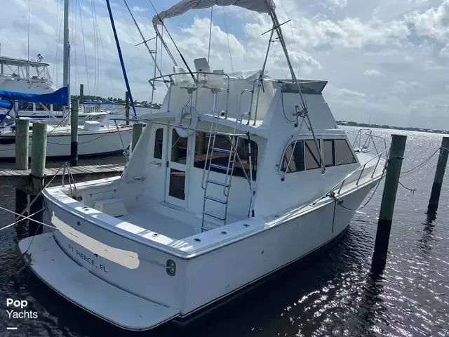 Egg Harbor 37 Convertible