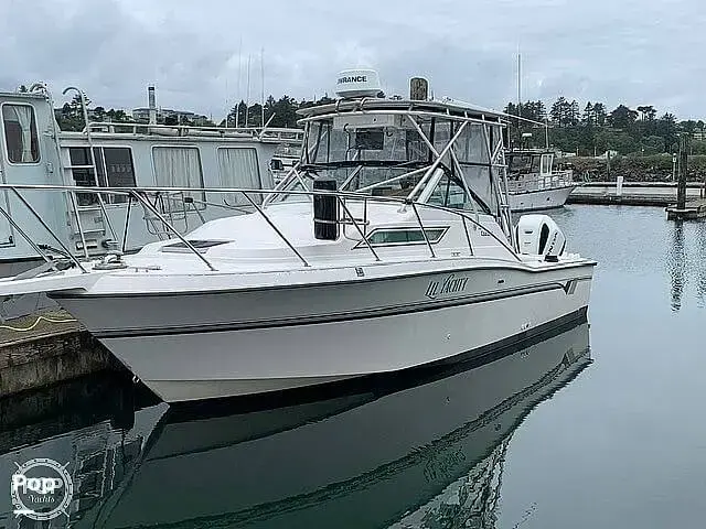 Wellcraft Coastal 2600