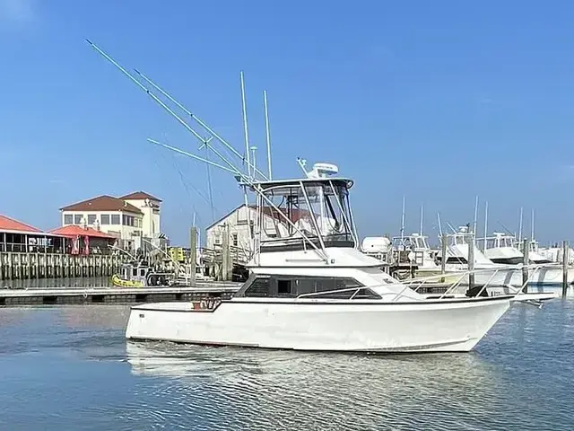 Innovator 31 sportfish