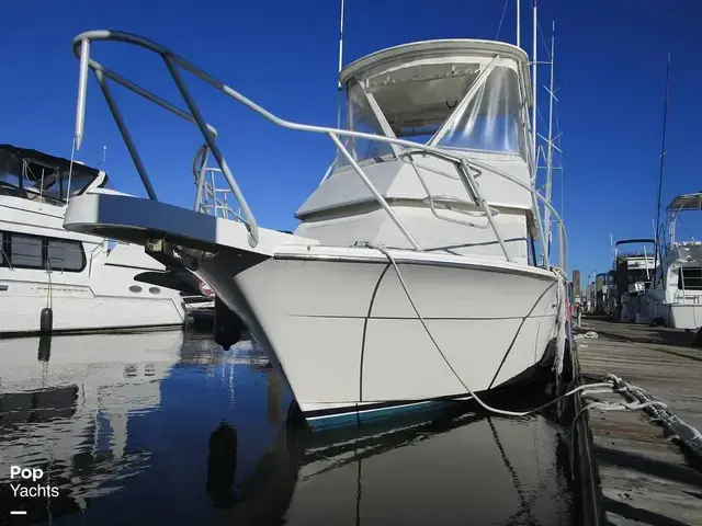 Hatteras 32