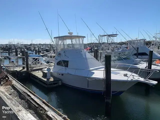 Luhrs 350 Convertible Tournament