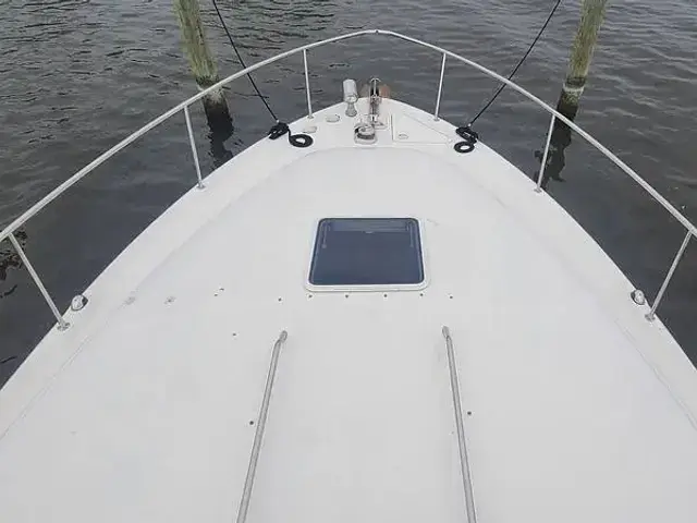 Sea Ray 340