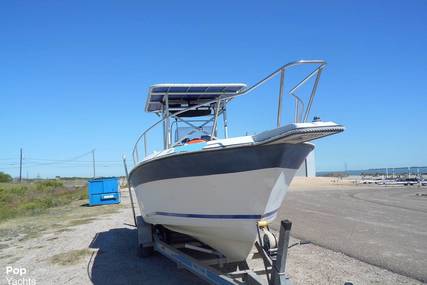 Starcraft Bluewater 24