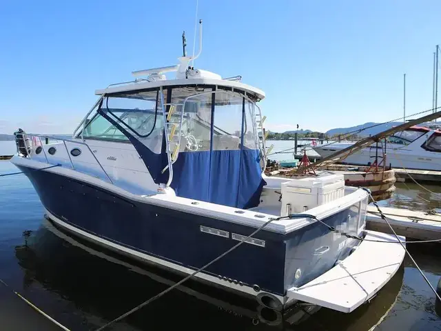 Wellcraft Coastal 330