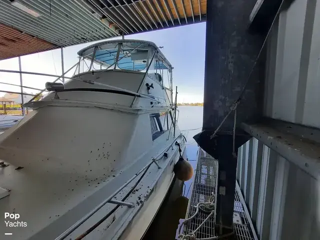 Bertram 42 Flybridge Motor Yacht