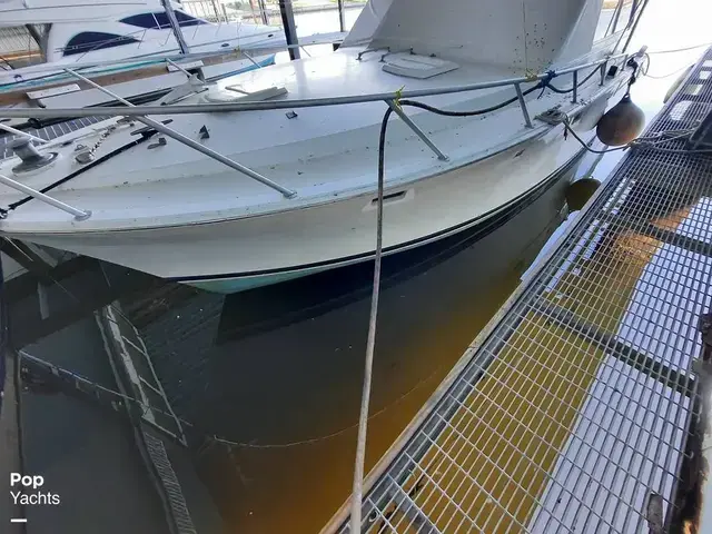 Bertram 42 Flybridge Motor Yacht