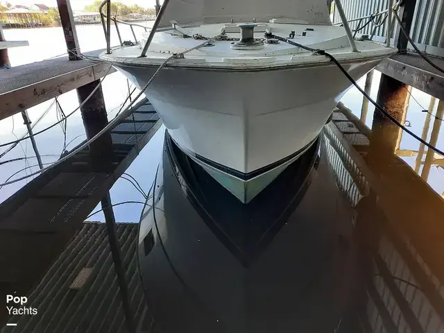 Bertram 42 Flybridge Motor Yacht