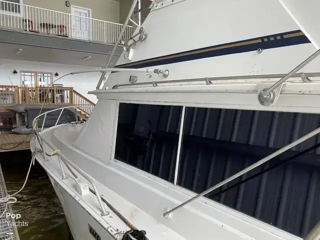 Bertram 42 Flybridge Motor Yacht