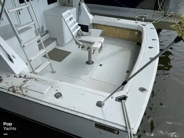 Bertram 42 Flybridge Motor Yacht