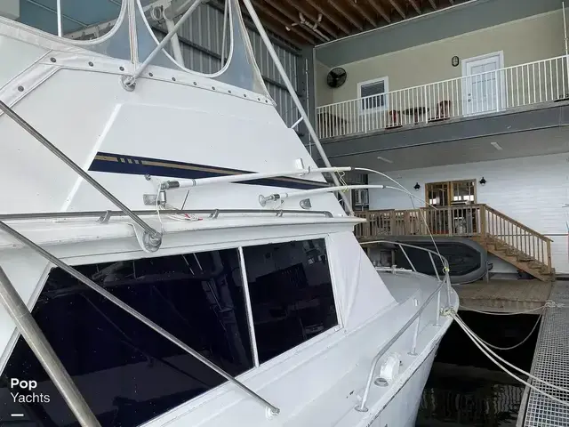 Bertram 42 Flybridge Motor Yacht