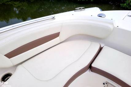 Chaparral 244 Sunesta