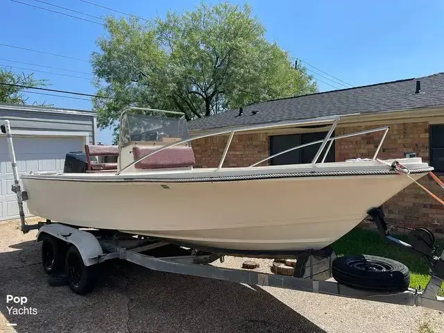 Robalo 190