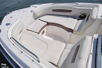 Chaparral 244 Sunesta