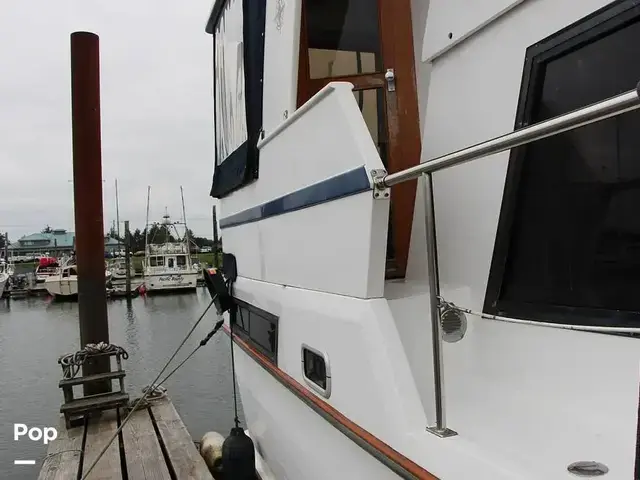 Nova 40 Sundeck