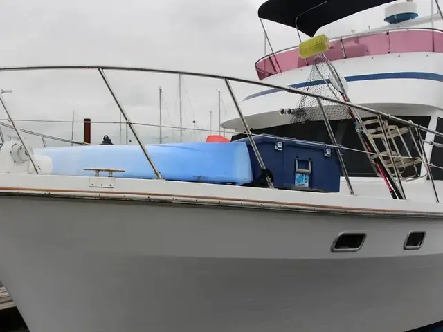 Nova 40 Sundeck