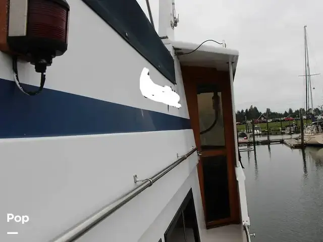 Nova 40 Sundeck