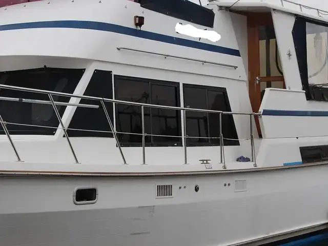 Nova 40 Sundeck