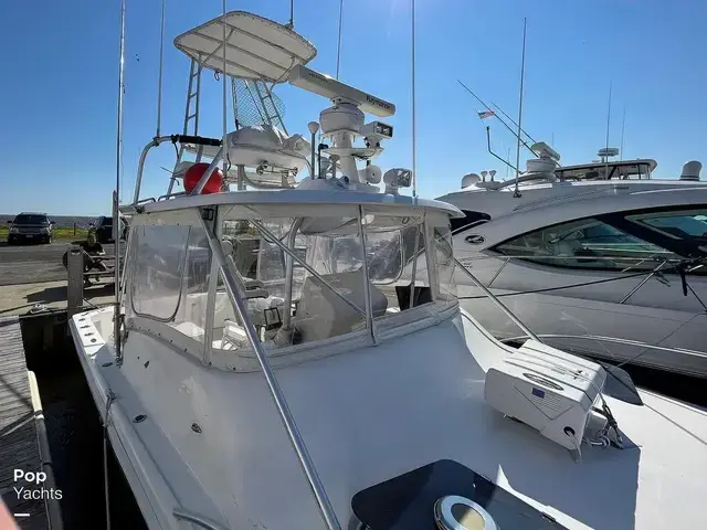 Luhrs 290 Open